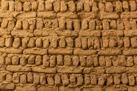 Detail of mud brick wall in Al Qasr village in Dakhla oasis, Egypt