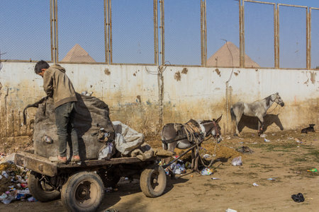 CAIRO, EGYPT - JANUARY 31, 2019: Donkey carriage collecting rubbish in Giza neighborhood of Cairo,...