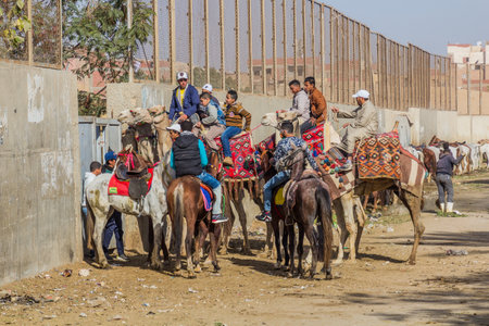 CAIRO, EGYPT - JANUARY 31, 2019: Horse and camel handlers waiting for tourist in Giza neighborhood of Cairo, Egyptのeditorial素材