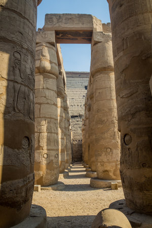 Columns at the Luxor temple, Egyptの写真素材