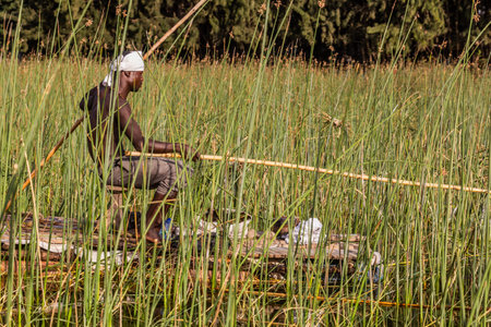 HAWASSA, ETHIOPIA - JANUARY 26, 2020: Fisherman at Awassa lake, Ethiopiaのeditorial素材