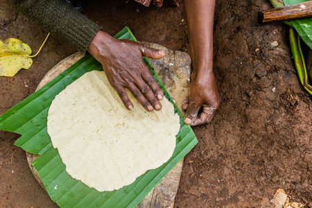 Dorze woman is preparing kocho bread made of enset (false banana), important source of food, Ethiopiaの写真素材