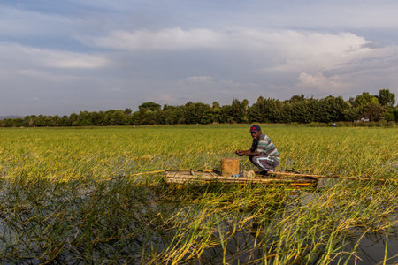 HAWASSA, ETHIOPIA - JANUARY 26, 2020: Fisherman at Awassa lake, Ethiopiaのeditorial素材
