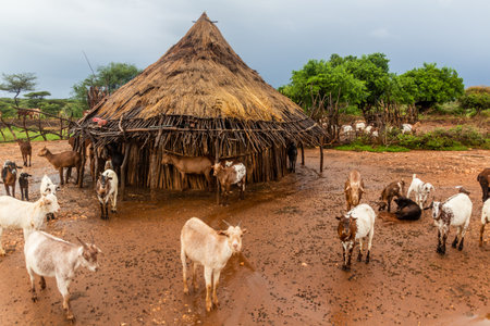 Huts in a village of Hamer tribe near Turmi, Ethiopia