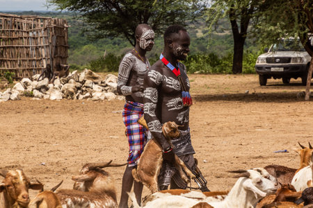 KORCHO, ETHIOPIA - FEBRUARY 4, 2020: Karo tribal men with a rifle and goats in Korcho village, Ethiopiaのeditorial素材