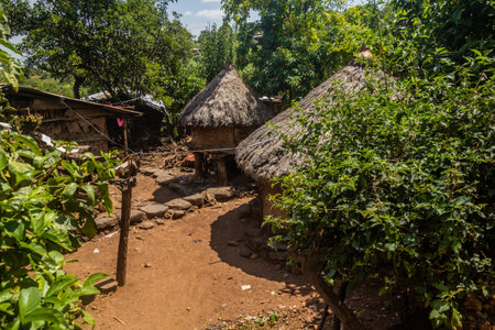 Typical huts in Konso village, Ethiopiaの写真素材