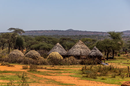 Small village near Yabelo town, Ethiopiaの写真素材