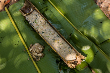 Pieces of bamboo serving as plate for soup in a forest near Luang Namtha town, Laosの写真素材