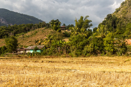 Landscape near Muang Ngoi Neua village, Laos.の写真素材
