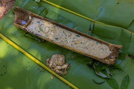 Pieces of bamboo serving as plate for soup in a forest near Luang Namtha town, Laosの写真素材