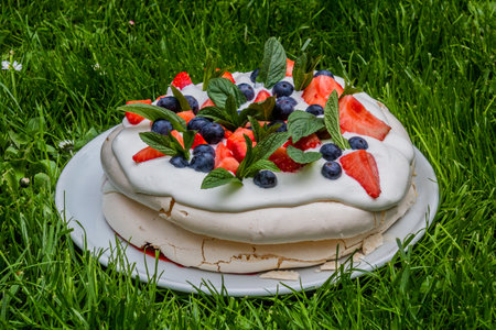 Pavlova cake on a lush green grassの写真素材