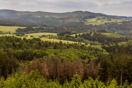 Landscape near Cervena Voda town, Czech Republicの写真素材
