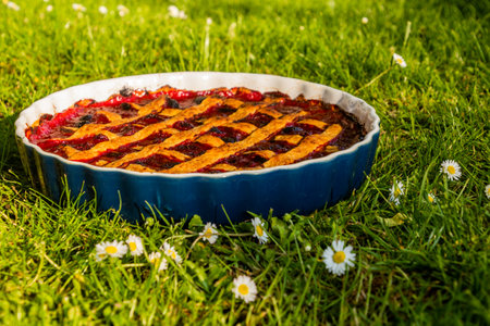 Fruit pie on a lush green grassの写真素材