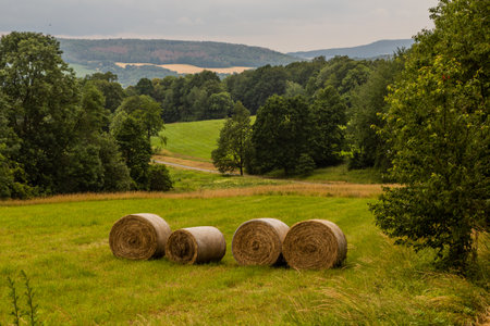 Rural landscape near Czech Republic