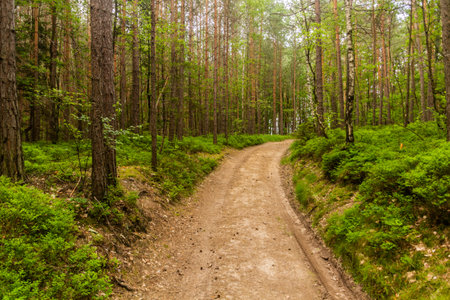 Hiking trail in the Protected Landscape Area Kokorinsko - Machuv kraj, Czech Republic