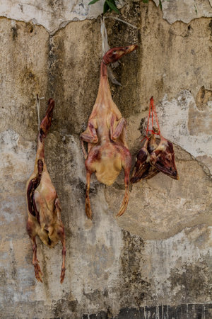 Ducks hanging on a wall in Xidi village, Anhui province, Chinaの写真素材