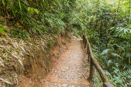 Path to Huai Mae Sai waterfall near Chiang Rai, Thailandの写真素材