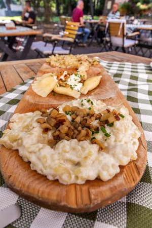 Plate of traditional Slovak dishes - kapustove strapacky (dumplings with cabbage), bryndzove pirohy (pirogi with bryndza sheep cheese) and bryndzove halusky (dumplings with bryndza sheep cheese)の写真素材