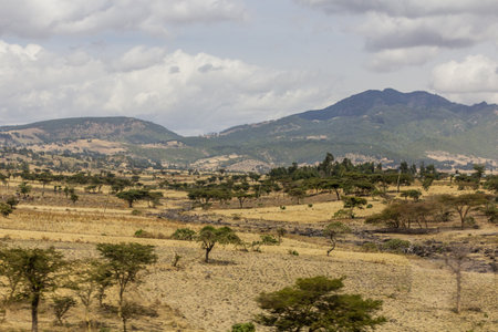 Landscape south of Addis Ababa, Ethiopia