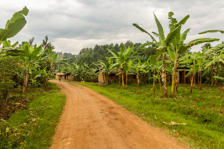 Road in Budadiri village, eastern Ugandaの写真素材