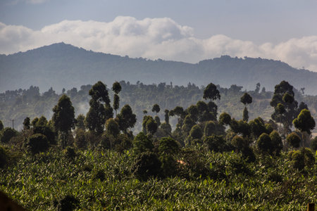 Rural landscape near Sipi village, Uganda