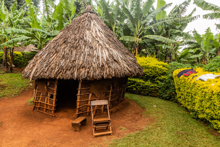 Small house in Sipi village, Ugandaの写真素材