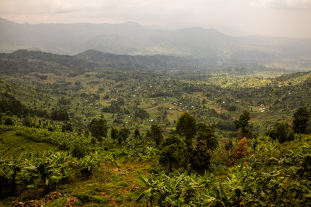 Rural landscape near Mount Elgon, Ugandaの写真素材