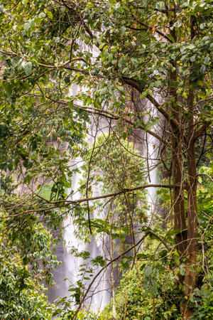 View of Sipi falls, Ugandaの写真素材