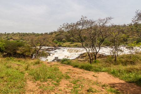View of Murchison Falls on the Victoria Nile river, Ugandaの写真素材