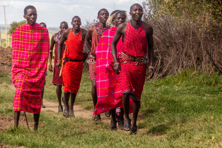 MASAI MARA, KENYA - FEBRUARY 20, 2020: Masai people perform their Jumping Dance, Kenya