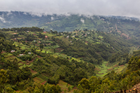 Lush landscape near Bunyonyi lake, Ugandaの写真素材