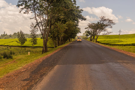 Road through tea plantations near Chemasit village, Kenyaの写真素材