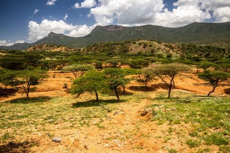 Landscape near South Horr village, Kenyaの写真素材