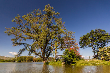 Small island on Naivasha lake, Kenyaの写真素材