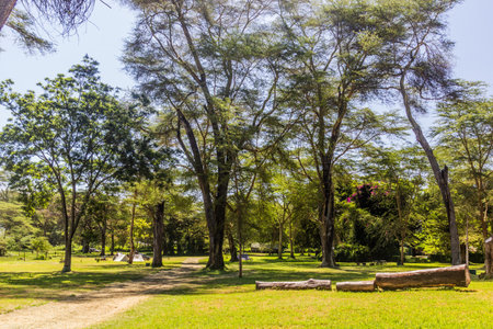 Camping place near Naivasha lake, Kenyaの写真素材