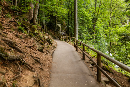 Path at Triberg Waterfalls in the Black Forest region in , Baden-Wuerttemberg, Germany