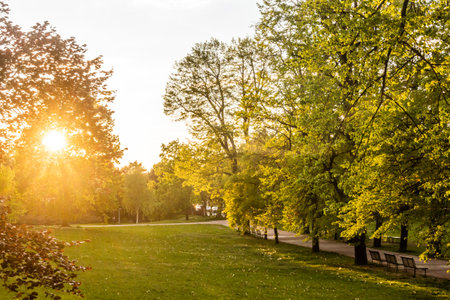 Sun shining in Letna park in Prague, Czech Republicの写真素材