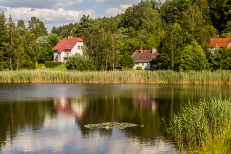Karlinsky rybnik pond in Horni Poustevna village, Czech Republicの写真素材