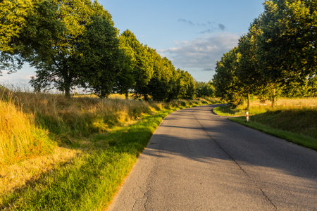 Road near Duba town, Czech Republicの写真素材