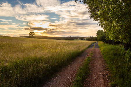 Evening view of rural Czech Republicの写真素材