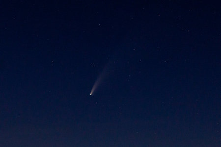 Comet C/2020 F3 NEOWISE on a night sky