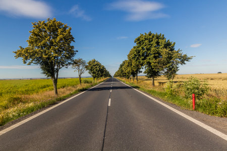 I/16 road in the Czech Republicの写真素材