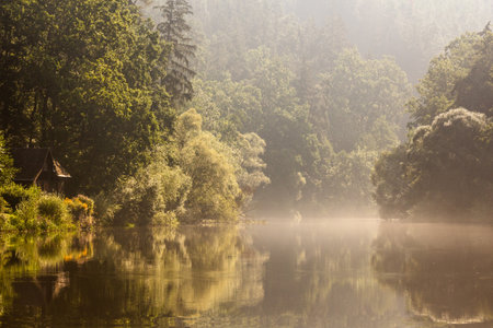 Morning view of Luznice river, Czech Republicの写真素材