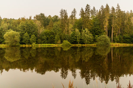 Vltava river near Hluboka, Czech Republicの写真素材