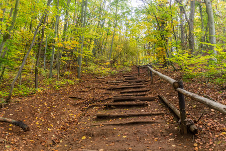 Hiking trail in Cesky kras nature protected area, Czech Republicの写真素材