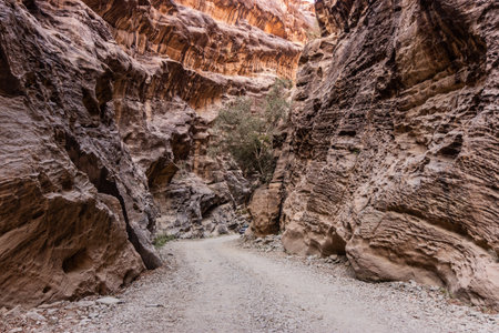 Path in Wadi Lajab gorge, Saudi Arabiaの写真素材