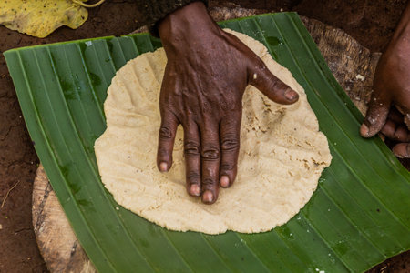 Dorze woman is preparing kocho bread made of enset (false banana), important source of food, Ethiopiaの写真素材