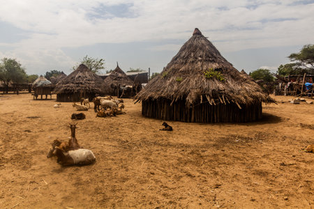 Huts in Korcho village in Omo valley, Ethiopiaの写真素材