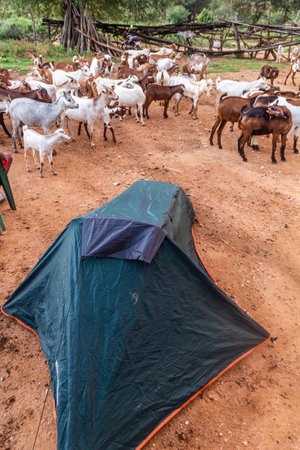 Camping in a small village of Hamer tribe near Turmi, Ethiopiaの写真素材