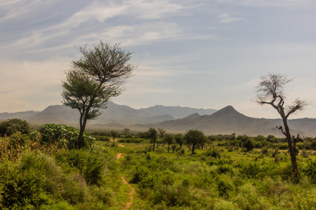 Landscape of Omo valley, Ethiopiaの写真素材